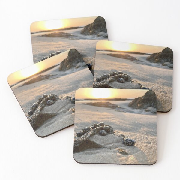 Item preview, Seashells at sunrise designed and sold by Salted Soul .