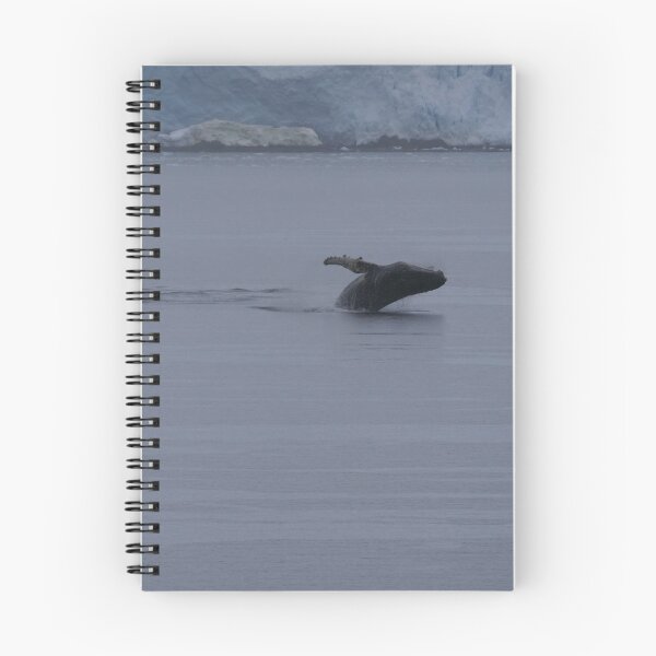 Item preview, Salto de ballena jorobada designed and sold by Malcolm Snook.