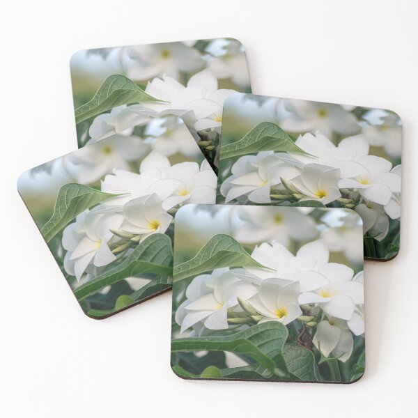 Item preview, White Plumeria Frangipani Flowers Tropical Bloom designed and sold by Cole's Design.
