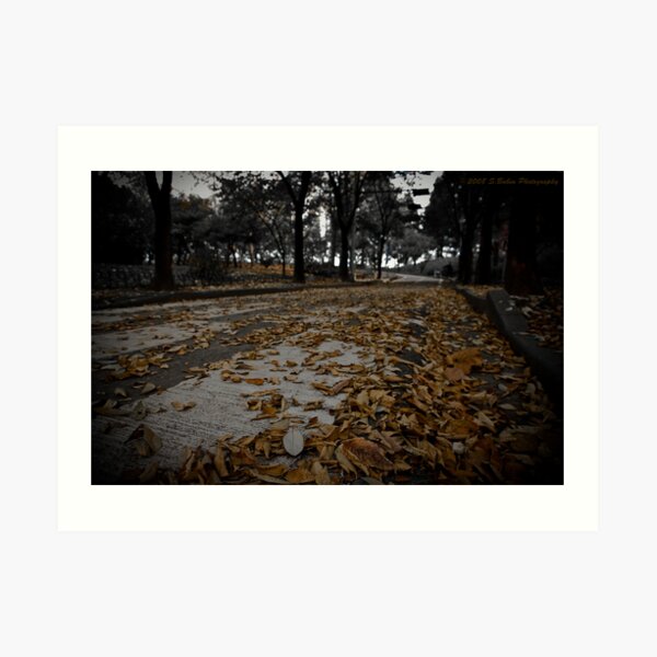 Gone with the wind... Art Print