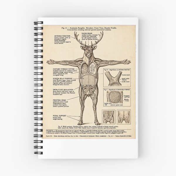 Item preview, Vintage Xmas Anatomy Of The Reindeer Funny Sci-Fi Diagram Custard System designed and sold by inkfluenceart.