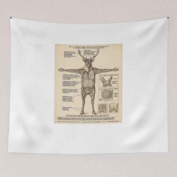 Item preview, Vintage Xmas Anatomy Of The Reindeer Funny Sci-Fi Diagram Custard System  designed and sold by inkfluenceart.