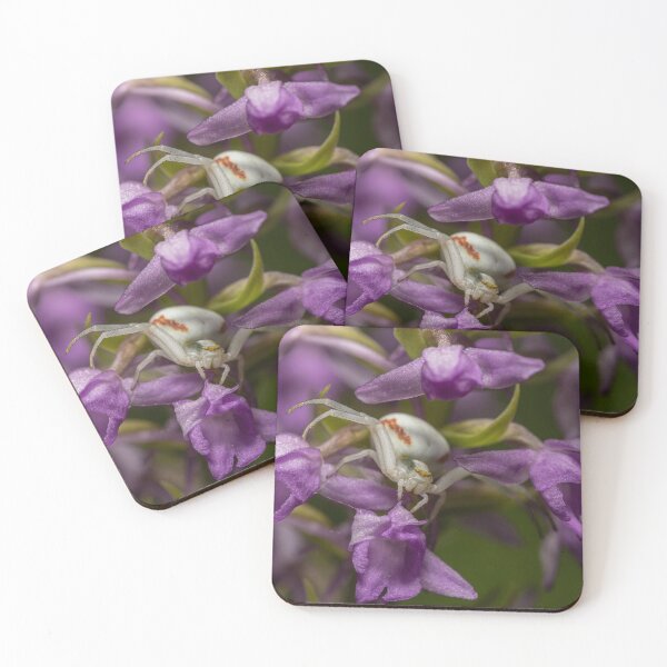 Item preview, Elegant White Crab Spider on Wild Orchid designed and sold by AngelusH.