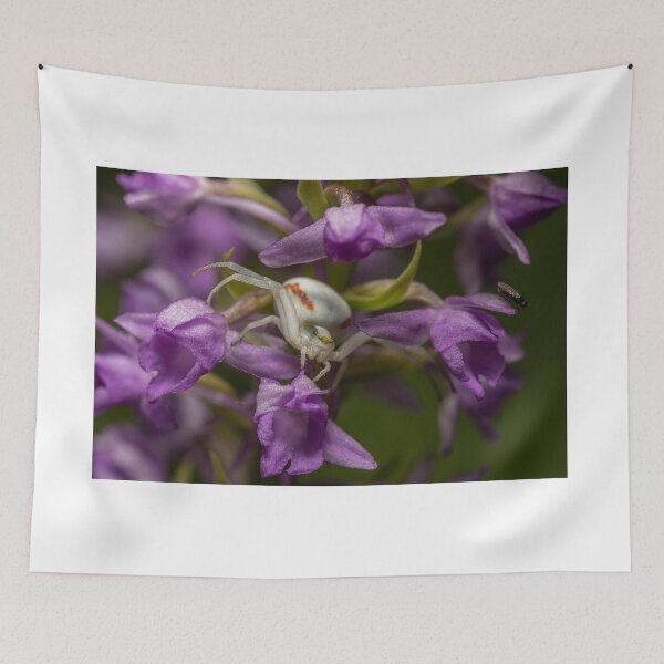 Item preview, Elegant White Crab Spider on Wild Orchid designed and sold by AngelusH.