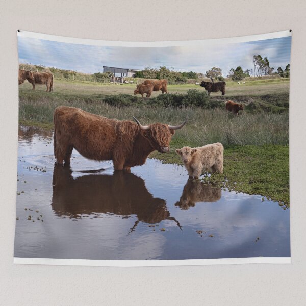 Item preview, Highland Cows, Mother and Calf designed and sold by kathleenjean.