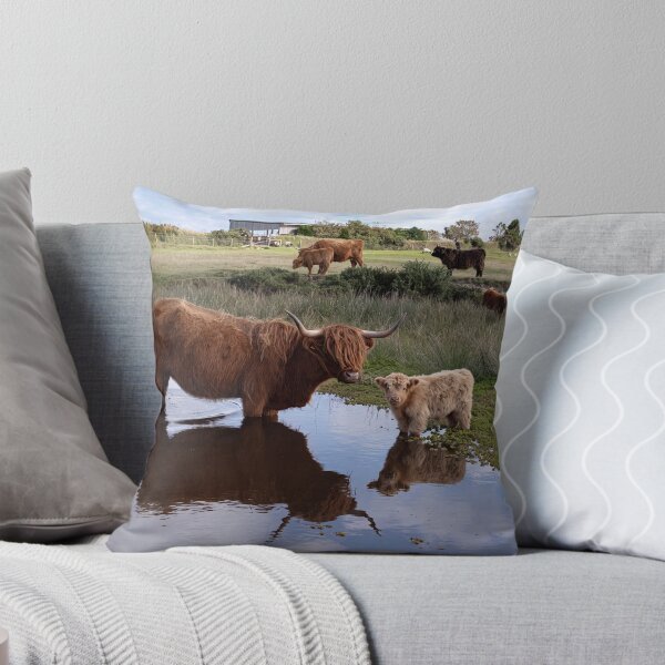 Item preview, Highland Cows, Mother and Calf designed and sold by kathleenjean.
