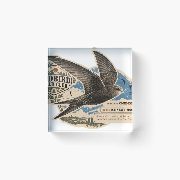 Item preview, Common Swift — Maintains Momentum | Oddbird Field Club designed and sold by OddbirdForest.