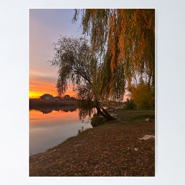 Item preview, Ukraine Golden Sunset Willow Tree River Autumn Landscape designed and sold by Каленчук Арт.