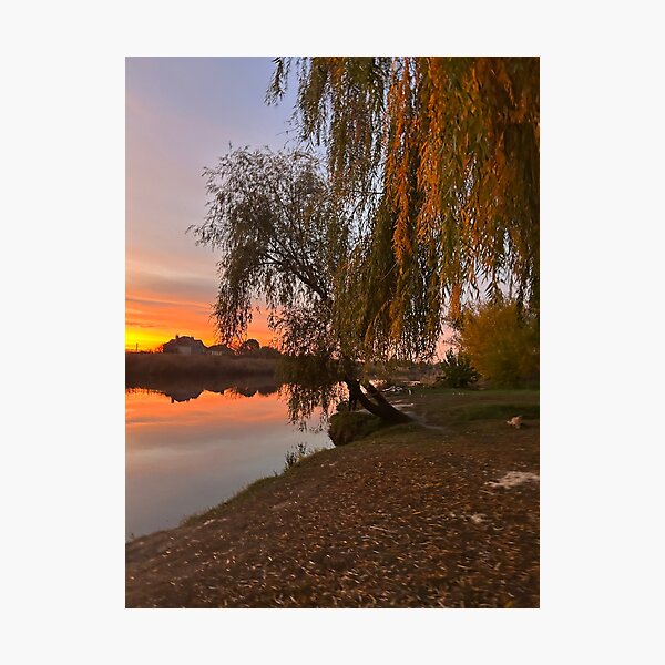 Item preview, Ukraine Golden Sunset Willow Tree River Autumn Landscape designed and sold by Каленчук Арт.