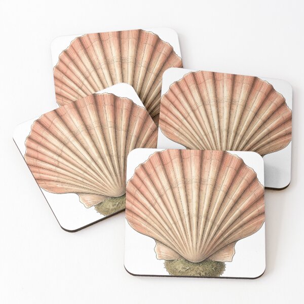 Item preview, Vintage Naturalist Bay Scallop — Antique Shell Plate designed and sold by Catch333.