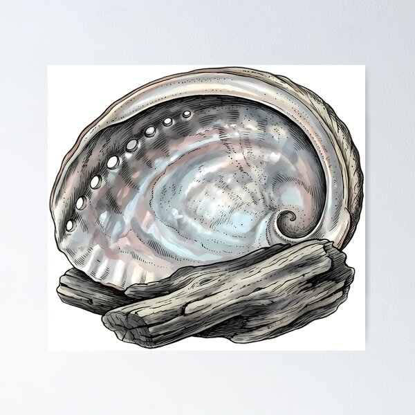 Item preview, Vintage Naturalist Abalone Shell — Antique Shell Art designed and sold by Catch333.