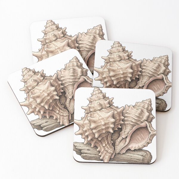 Item preview, Vintage Naturalist Murex Shell — Antique Shell Plate designed and sold by Catch333.