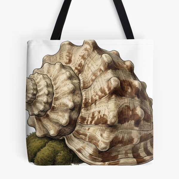 Item preview, Vintage Naturalist Triton Shell — Antique Shell Art designed and sold by Catch333.