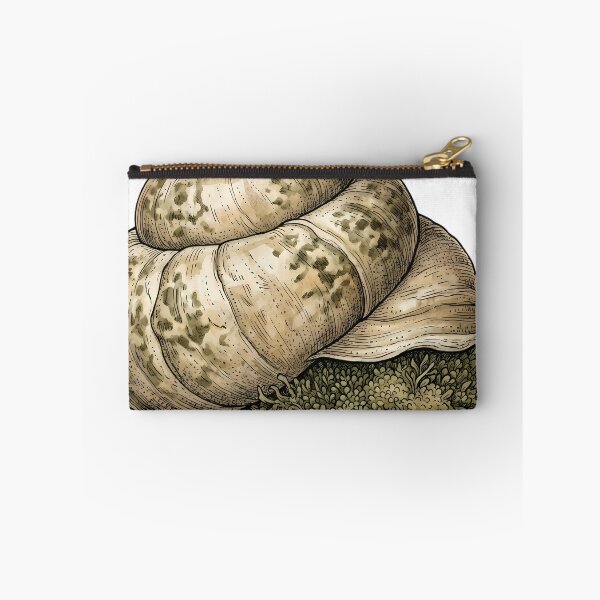Item preview, Vintage Naturalist Turban Shell — Antique Shell Plate designed and sold by Catch333.