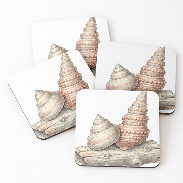 Item preview, Vintage Naturalist Top Shell — Antique Shell Art designed and sold by Catch333.