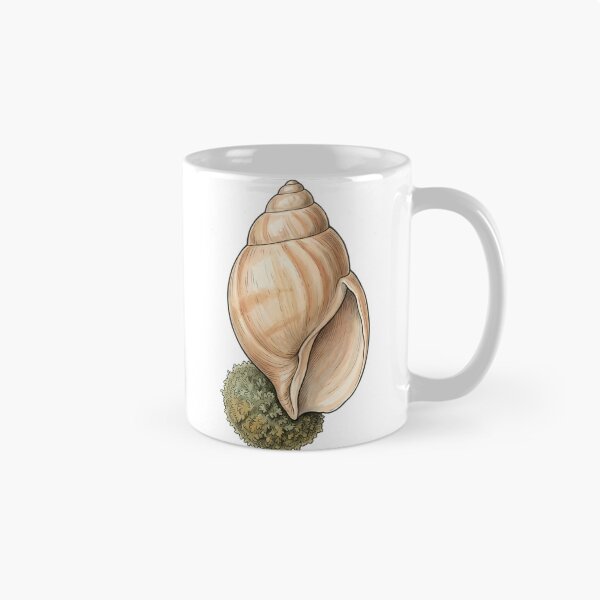 Item preview, Vintage Naturalist Volute Shell — Antique Shell Plate designed and sold by Catch333.