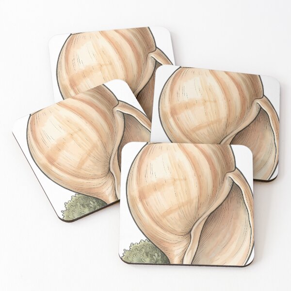 Item preview, Vintage Naturalist Volute Shell — Antique Shell Plate designed and sold by Catch333.