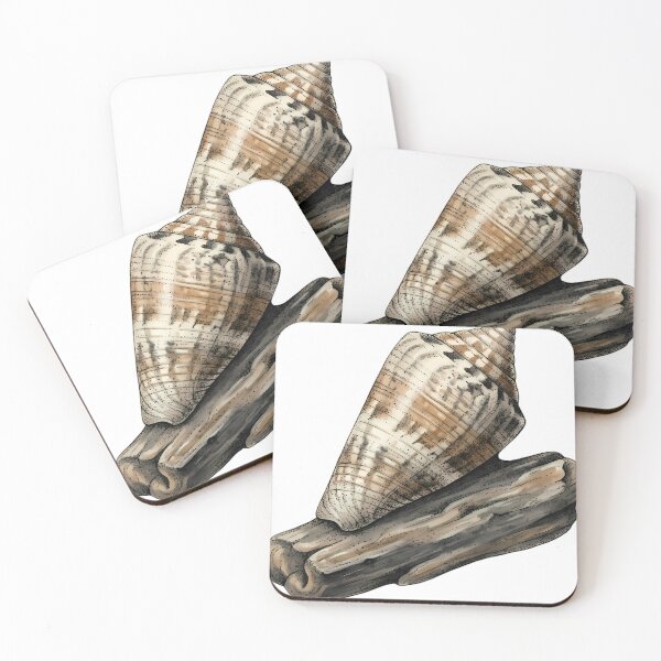 Item preview, Vintage Naturalist Cone Shell — Antique Shell Art designed and sold by Catch333.