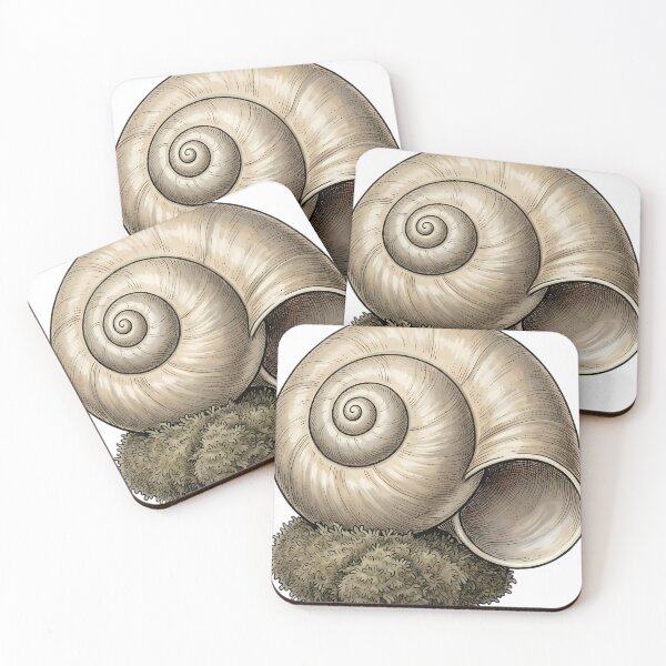 Item preview, Vintage Naturalist Moon Snail Shell — Antique Shell Plate designed and sold by Catch333.