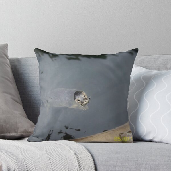 Item preview, Curious Seal Swimming Beneath Surface designed and sold by Astute-Artio-Photography.