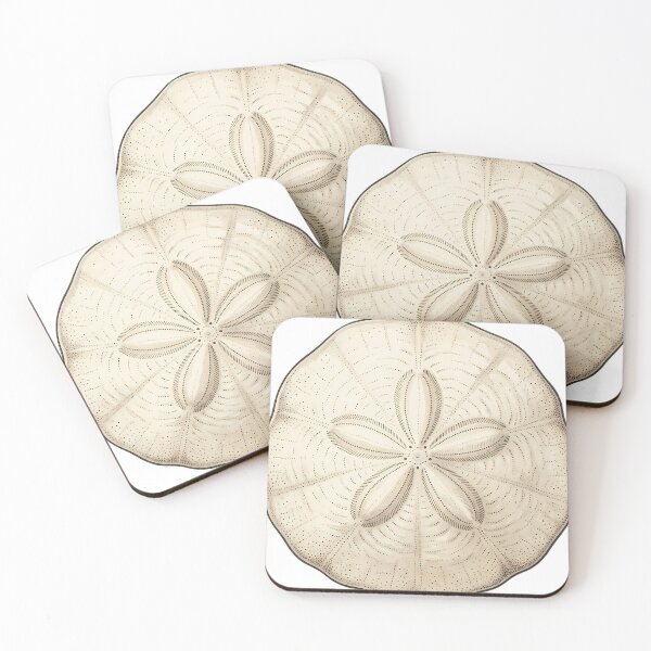 Item preview, Vintage Naturalist Sand Dollar — Antique Marine Plate designed and sold by Catch333.