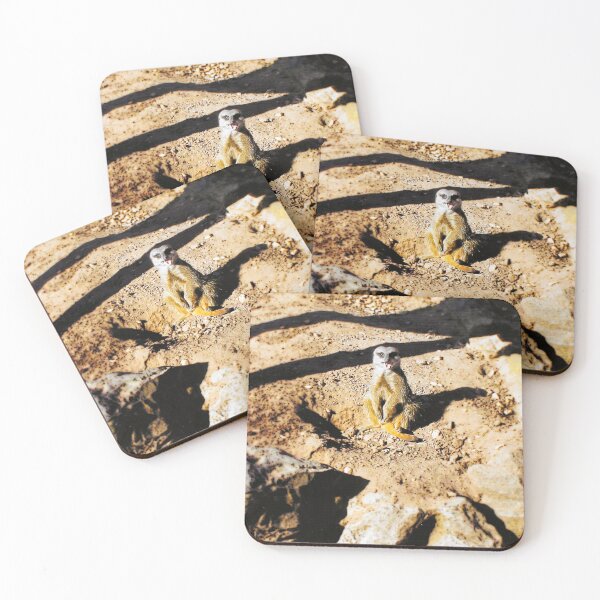 Item preview, Funny meerkat in the sun photograph designed and sold by Natimo-Studio.