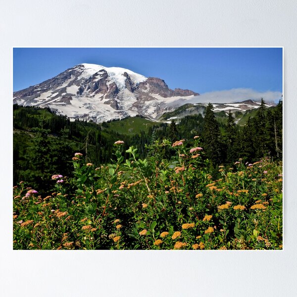Item preview, MOUNT RAINIER WITH WILDFLOWERS designed and sold by Elaine Bawden.