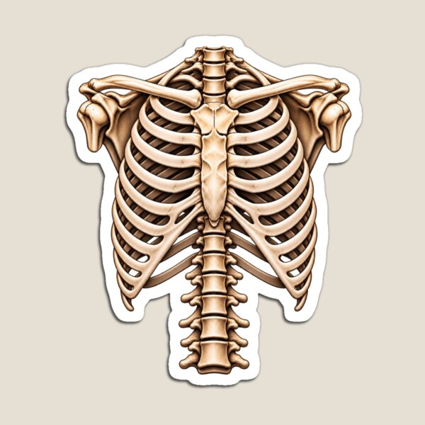 Item preview, Realistic Skeleton Ribcage Illusion for Gothic Fans designed and sold by Meandmyshop.