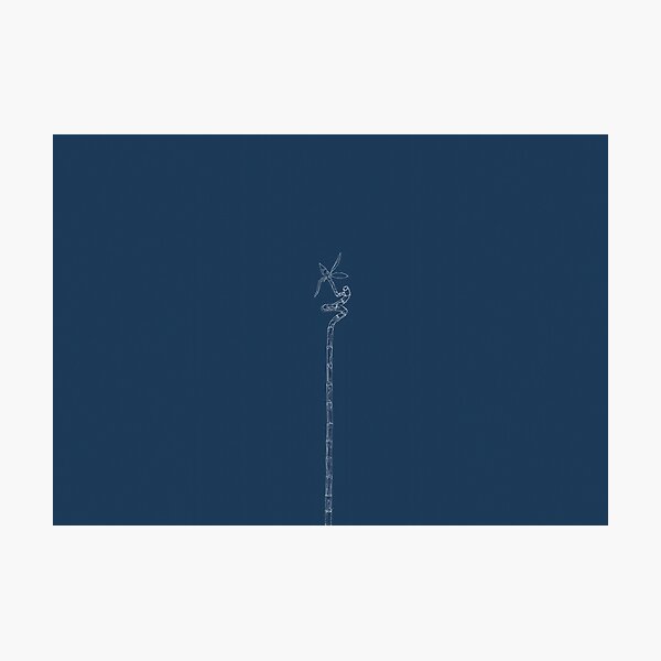 Item preview, Bamboo stylised as a blueprint designed and sold by davecrosby.