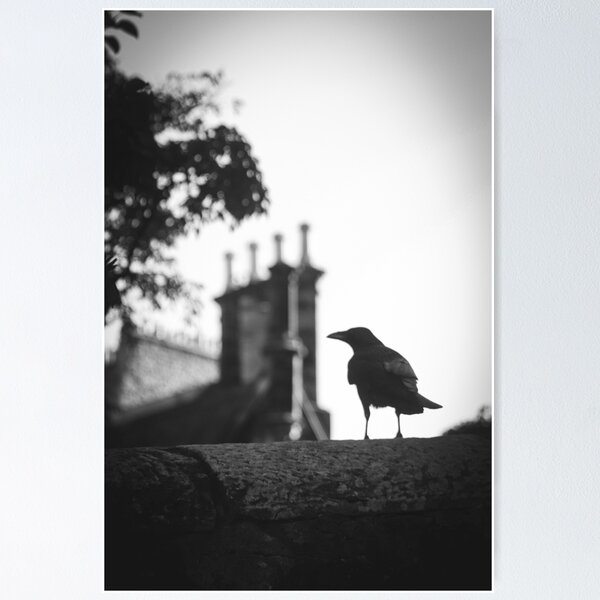 Item preview, Crow in Edinburgh designed and sold by thisreverie.