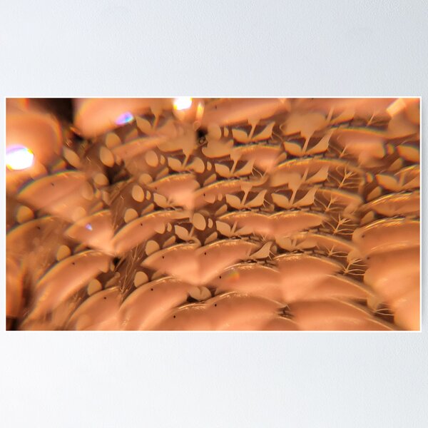 Item preview, Amber Scales Abstract designed and sold by ElionSolis.
