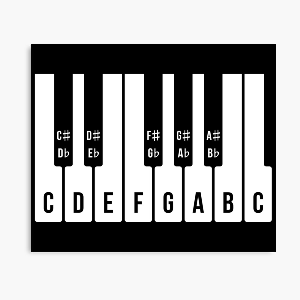 Musical Keyboard, C Major Scale (Piano / Music / 1C) Poster