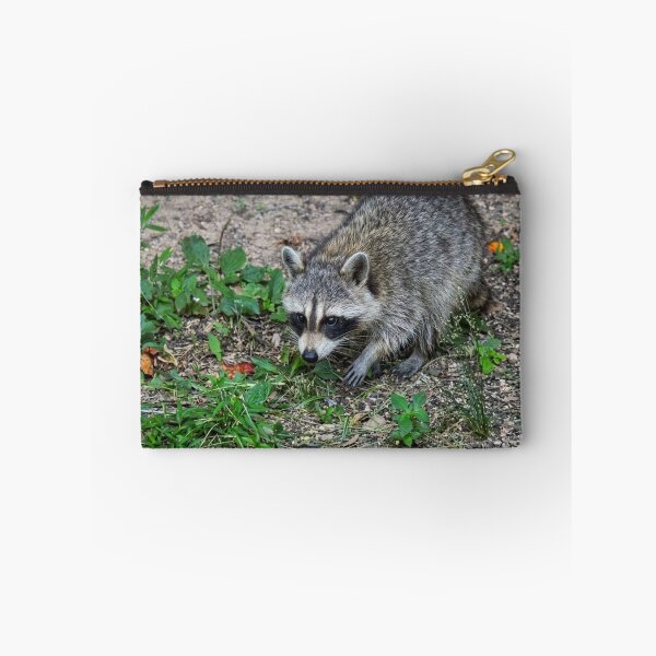 Item preview, Alert Raccoon Exploring the Forest Floor designed and sold by Astute-Artio-Photography.