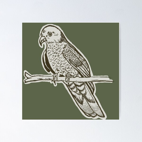 Item preview, Wild Parrot | Vintage Bird Illustration | Parrot Illustration designed and sold by Half Mess.