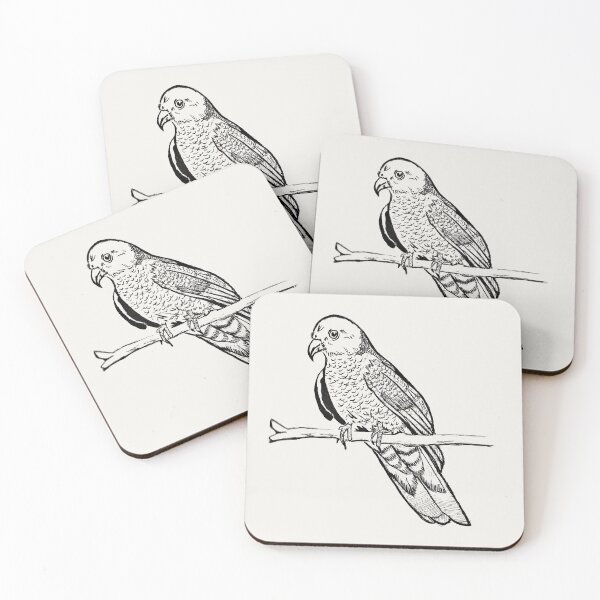 Item preview, Wild Parrot | Vintage Bird Illustration | Parrot Illustration designed and sold by Half Mess.