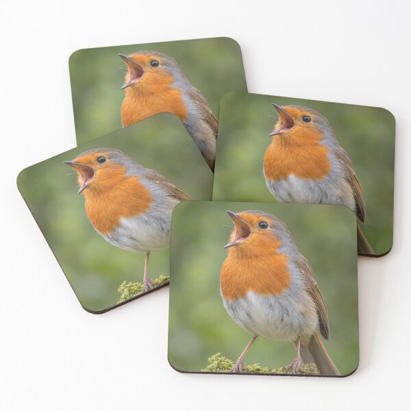 Item preview, Dawn Chorus designed and sold by Brian Tarr.