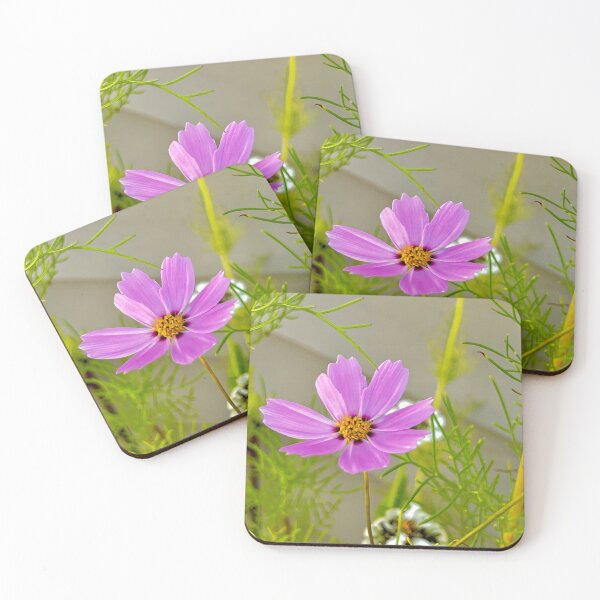 Item preview, Magenta Cosmos Close-Up with Tiny White Cornflower — Summer Garden Mix designed and sold by Pink Ribbon Flowers .