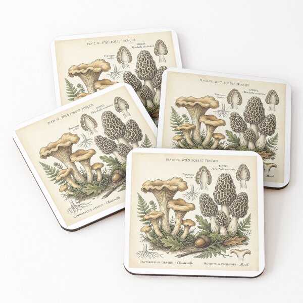 Item preview, Vintage Botanical Wild Mushroom Forest Chart designed and sold by bvdesignart.