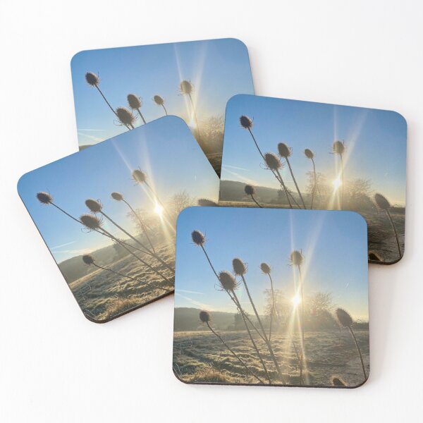 Item preview, Winter Sunlight Through Teasel Silhouettes designed and sold by Astute-Artio-Photography.
