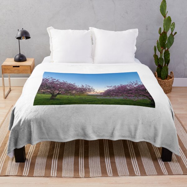 Item preview, Blooming Cherry Blossoms at Twilight designed and sold by Astute-Artio-Photography.