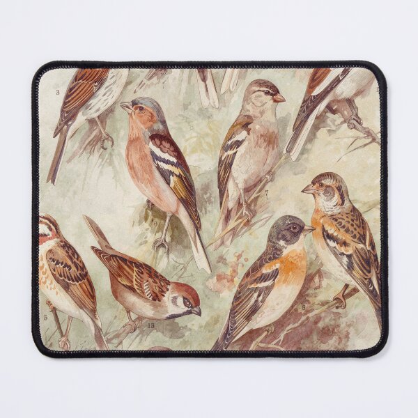 Item preview, Watercolor illustration of Victorian ornithology designed and sold by Prepress.
