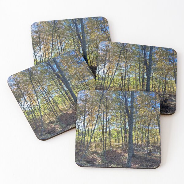 Item preview, Autumn Forest  designed and sold by Amanda1775.