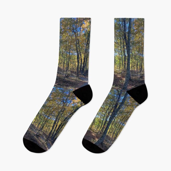 Item preview, Autumn Forest  designed and sold by Amanda1775.