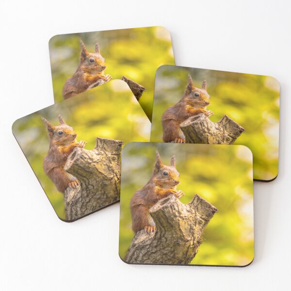 Item preview, Red Squirrel - Guardian of the Dingle designed and sold by Darren Wilkes Wildlife UK.