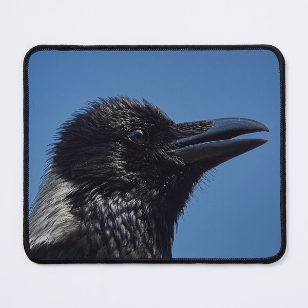 Item preview, Portrait of a Hooded Crow designed and sold by Eidetic Photos.