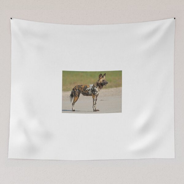 Item preview, Painted Dog! designed and sold by Anthony Goldman.