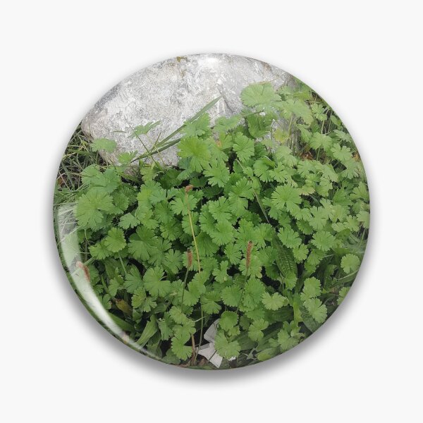 Item preview, Green Plant Growing Between Stone Pavers designed and sold by PhuongVoArt.