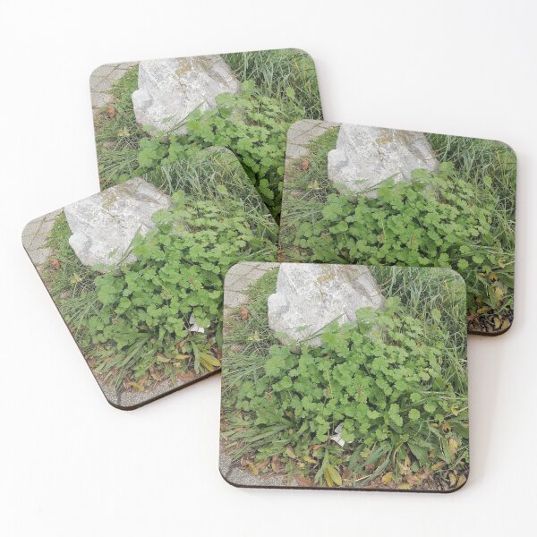 Item preview, Green Plant Growing Between Stone Pavers designed and sold by PhuongVoArt.