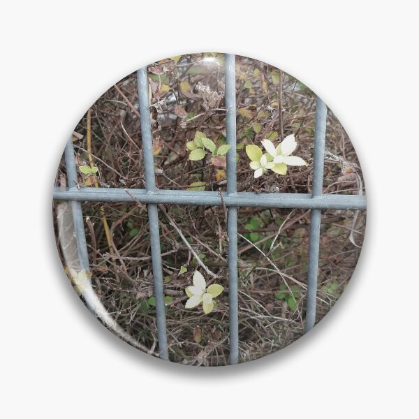 Item preview, Pale Green Leaves On Garden Fence designed and sold by PhuongVoArt.
