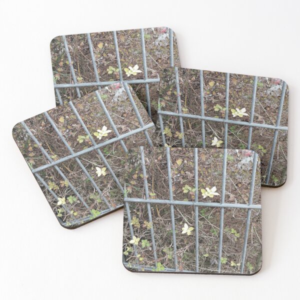 Item preview, Pale Green Leaves On Garden Fence designed and sold by PhuongVoArt.